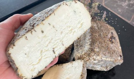  Vente de fromage - Saint-Jouan-des-Guérets - Fromagerie Tic & Tac