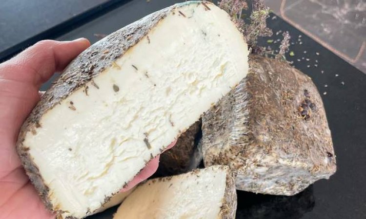  Vente de fromage - Saint-Jouan-des-Guérets - Fromagerie Tic & Tac